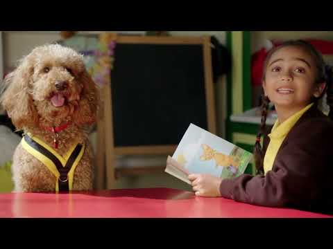 Waffle is a Listening Dog | Waffle the Wonderdog | Live Action Videos for Kids | WildBrain Zigzag