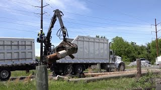 Working for the Environment