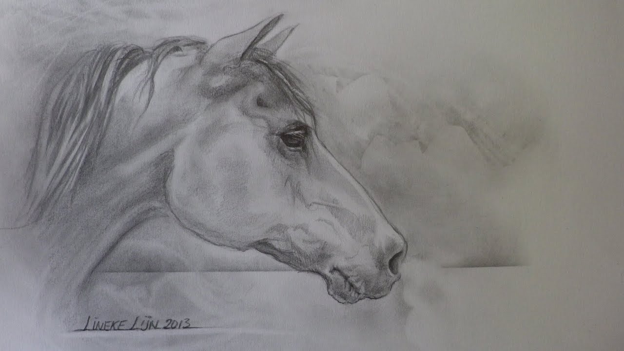 Verbazingwekkend PAARDENHOOFD voor beginners grafiet tekening - YouTube GM-52