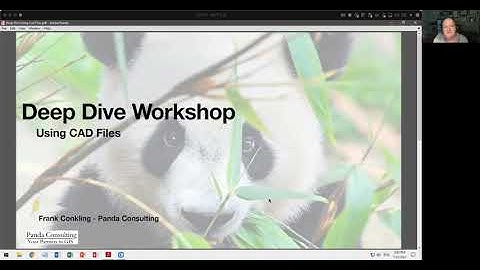 Working with CAD Files in ArcGIS Pro - July 2021