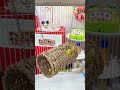 “OMG My Parrot Said WHAT?! 😱😂”“You Won’t Believe This Cute Parrot’s Reaction! 🐦💛”“My Parrot’s Funn