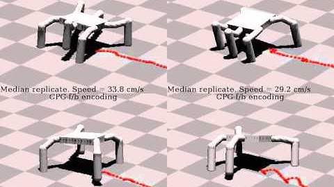 Central pattern generators modulated with feedback