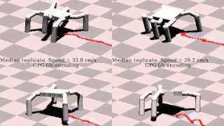 Central pattern generators modulated with feedback Wealth