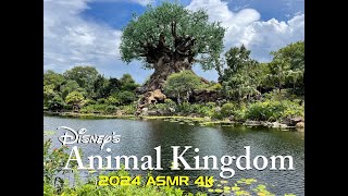 Disney's Animal Kingdom -4K