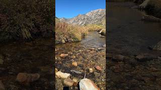 Today was a great day to be in the Ruby Mountains. 🍂🍁 Lamoille, Nevada. #subscribe #fallfoliage