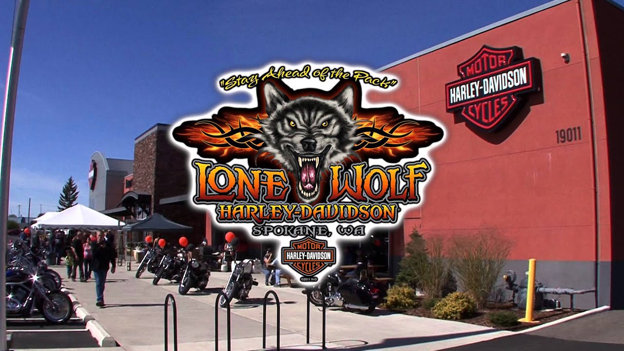 Lone Wolf Harley Davidson New 2015 Motorcycles YouTube Lone Wolf Harley Davidson New 2015 Motorcycles YouTube