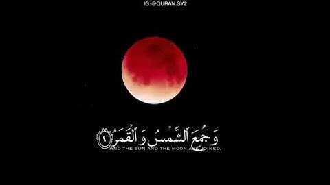 قرآن كريم بصوت ادريس ابكر||💕😍حالات واتس اب||حالات واتس اب دينيه❤