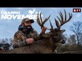 200-Inch Roller Coaster | Huge Buck Thrashes a Tree | Chasing November
