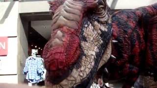 Velociraptor in Melbourne