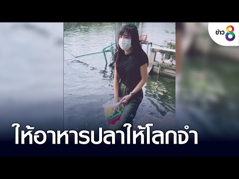 ให้อาหารปลาให้โลกจำ | ข่าวช่อง 8 | 19 ก.ย. 65