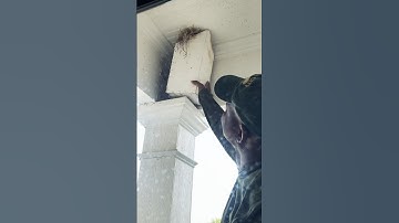 Just removing the heart attack birds nest from the front porch.