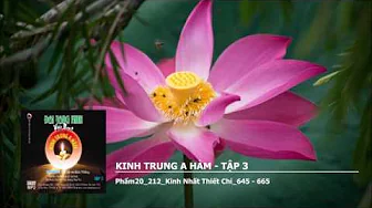 Tập 3 – Phẩm20–212–K.Nhất Thiết Chí–645 – 665 