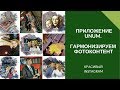 Приложение UNUM для Instagram  Гармонизируем контент