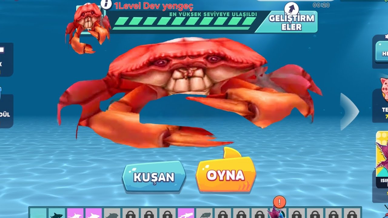 kandırılıyoruz... böyle