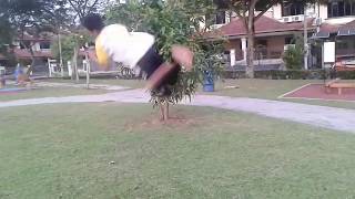 double corkscrew  attempt