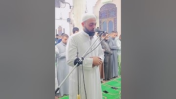 ما تيسر من سورة فاطر - طارق يوسف عرفة