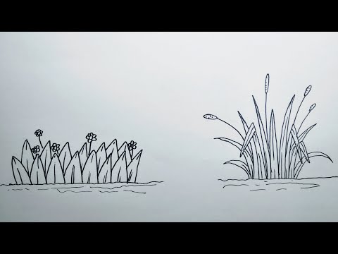 Cara menggambar rumput