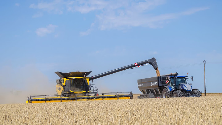 MOISSON 2024 AVEC CETTE NEW HOLLAND CR10! 👌