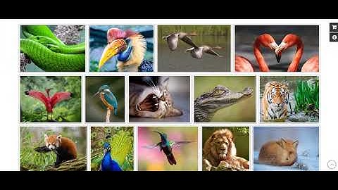Global Gallery   Wordpress Responsive Gallery