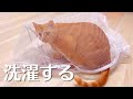 猫のための超特大洗濯ネット