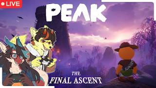 Baru sembuh langsung manjat! -【PEAK】