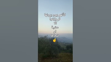 سورة النازعات #الله #اكسبلور #قرآن #قرآن كريم#explore #اكسبلور