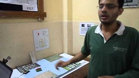 DENSITY BASED TRAFFIC LIGHT