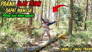 Prank Ular Piton Raksasa || Spesial Terlucu Paling Ngakak 🤣🤣 #prank #viral #prankindonesia