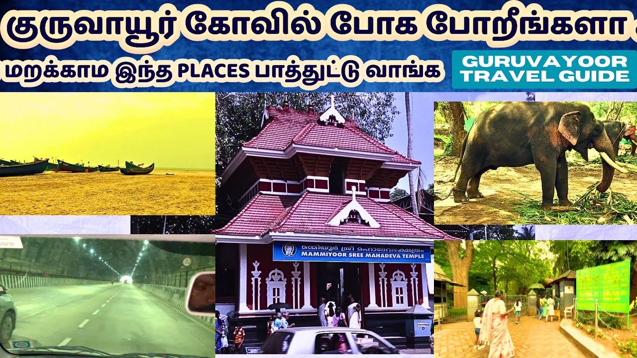 குருவாயூர் போனா பாக்க வேண்டிய இடங்கள் | guruvayur temple travel guide tamil |