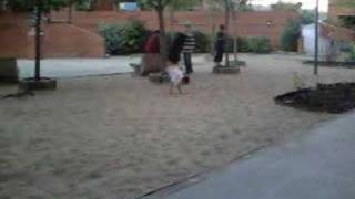 Dany Flick Flack En Zofio