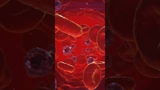 #DreamTrackAI Platelets and Red Blood Cells in the Blood Stream