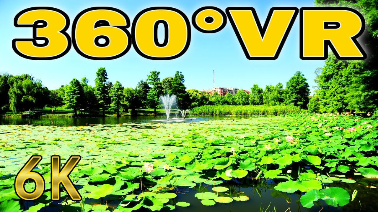 360° VR Lake Turtle Circus Park Field Visit Bucharest Travel Romania 6K 3D Virtual Walk Tour Real HD