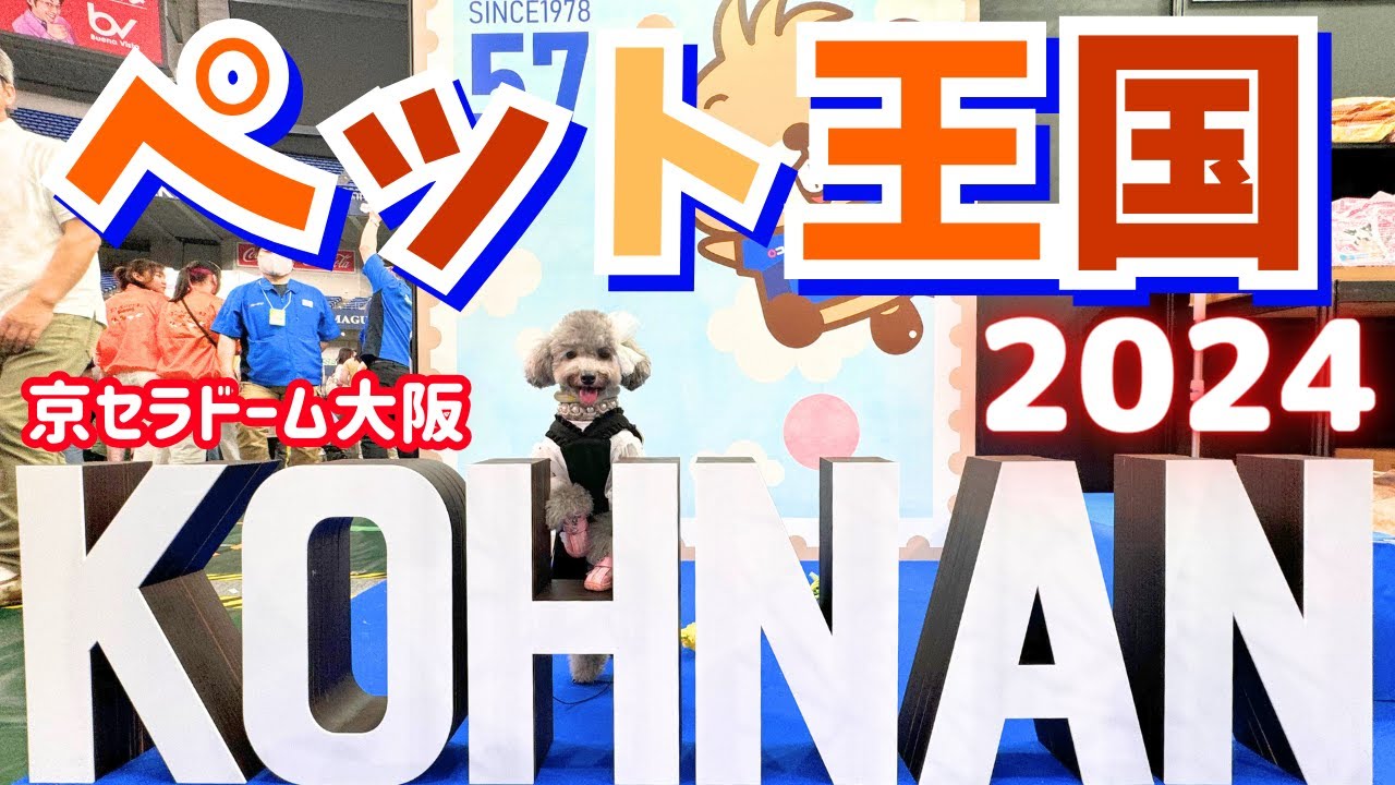 【ペット王国2024】今年もヤバかった！サンプル、ノベルティー戦利品🐶京セラドーム【犬イベント】後編