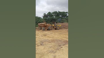 Unloading of logs outside the sawmill factory! ep2
