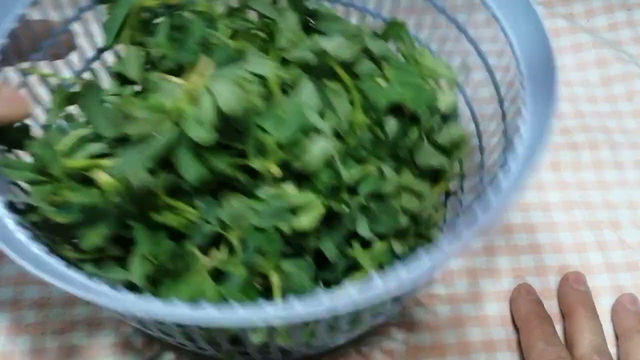 طريقة تجفيف الحلبة #تجفيف الورقيات#