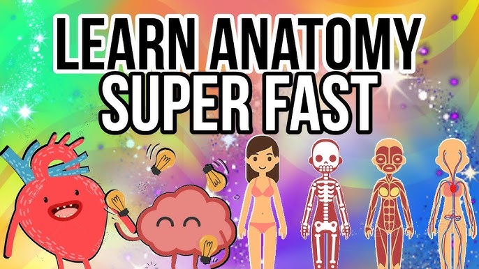 5 Ways To Mastering Human Anatomy Efficient Methods 2024