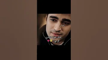 يمكن للعيون ان تشرح كل شيء مصرين يدوبوني بجمالهم Isasdizi اكسبلور طائر الرفراف 