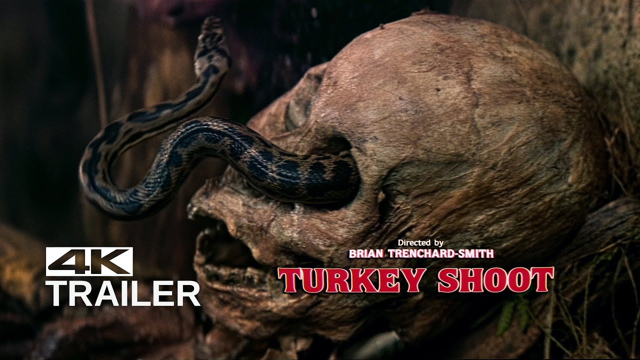 turkey shoot game free online