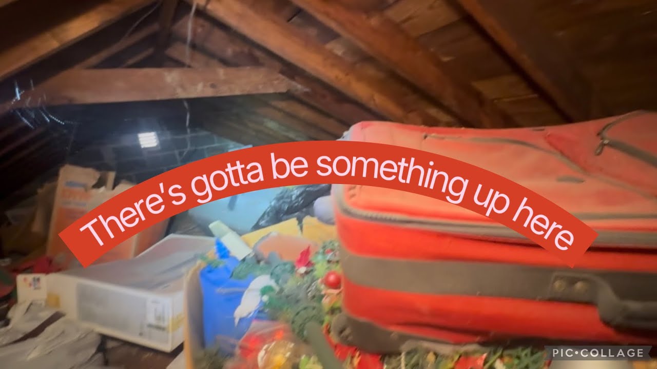 House Clean out but is there any treasure?