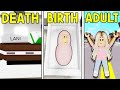 DEATH To BIRTH To ADULT.. (Roblox Brookhaven)