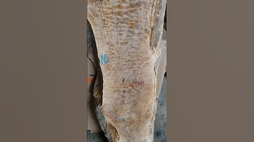 Quilted maple slab