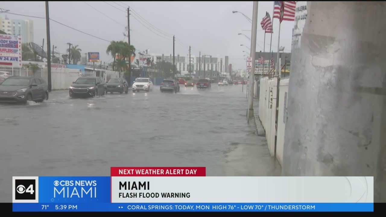 Flash flood warning in Miami - YouTube