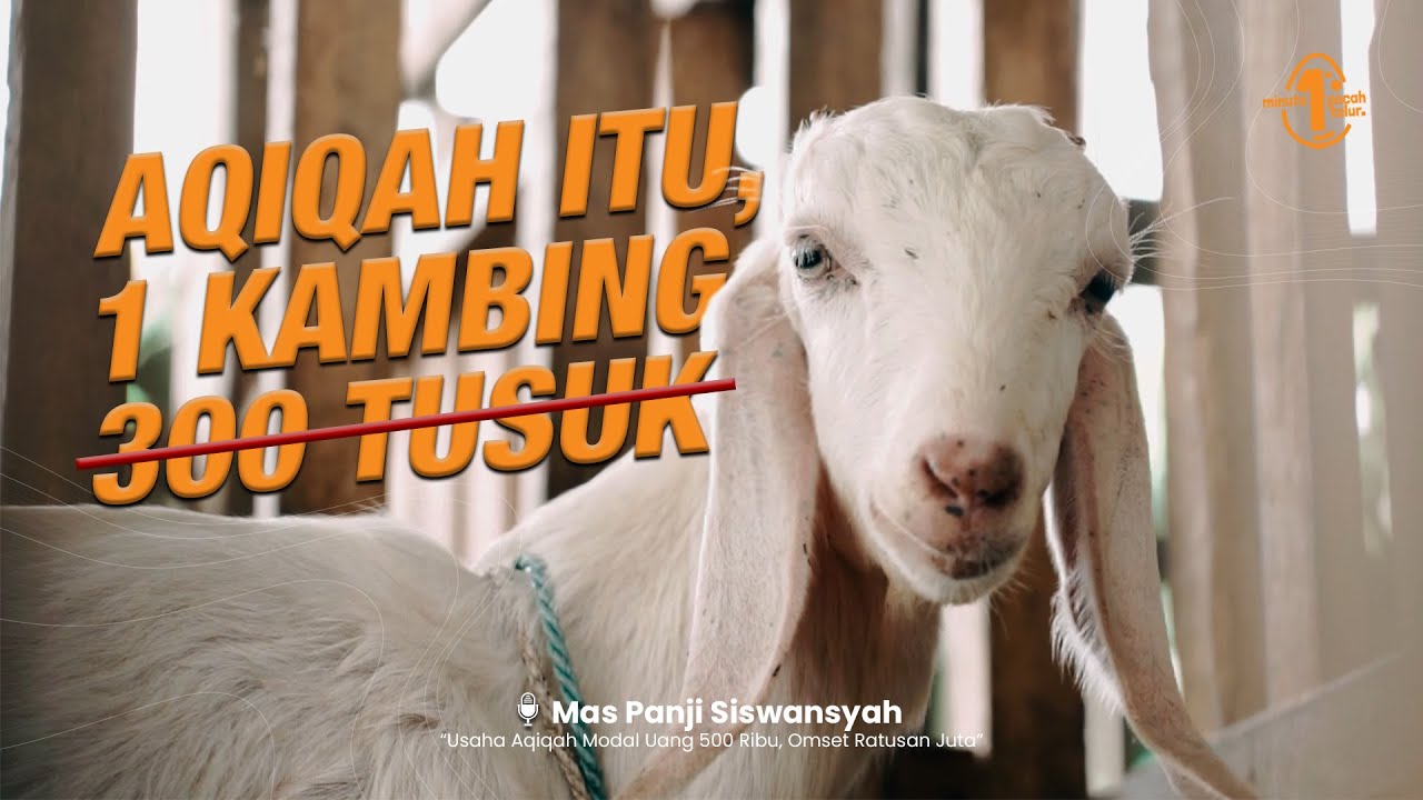 Usaha Yang Tidak Dilakukan 100% Maka Hasilnya "0" - AQIQAH - YouTube