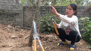 Mẫu kéo cắt tỉa hàng rào hàng cao cấp  , hàng mới về phục vụ các bác lh 0984855975