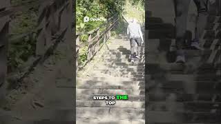 Why Everyone Hikes Elephant Mountain In Taipei Taiwan