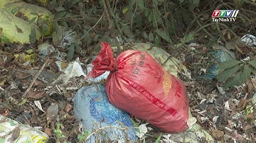 Rác thải tràn lan trong rừng lịch sử Dương Minh Châu | VÌ VĂN MINH CUỘC SỐNG | TayNinhTV