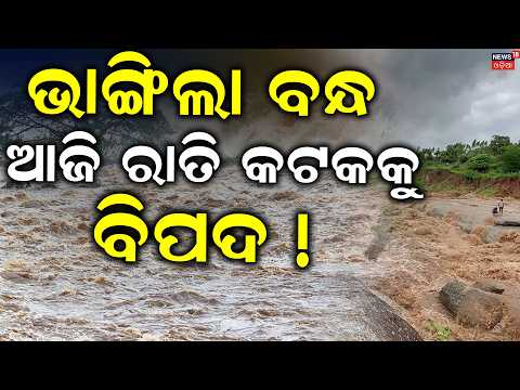 ଆଜି ରାତି କଟକ ପାଇଁ ବଡ଼ ବିପଦ ! Chitrotpala River Erosion In Cuttack । Flood in Odisha । Odia News