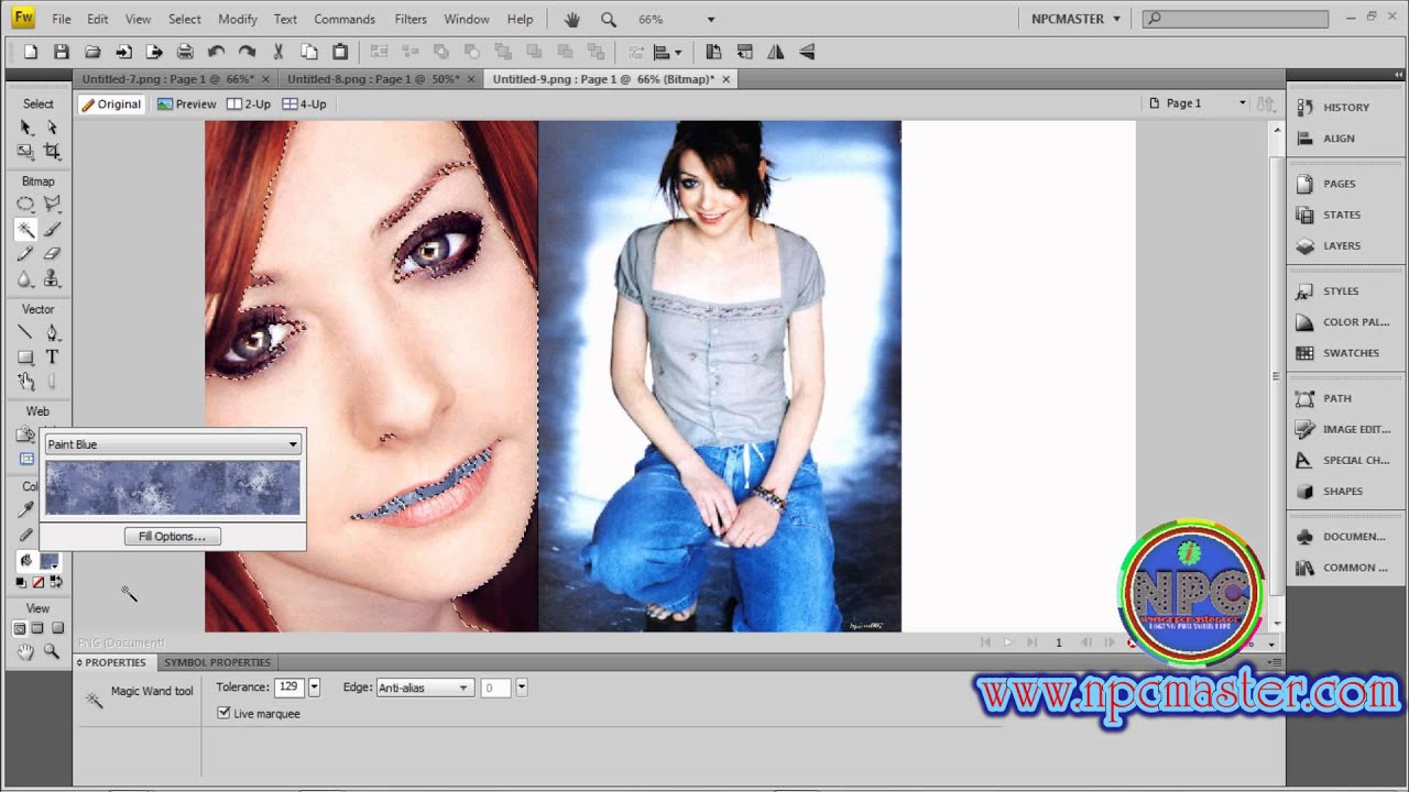 15 How to use Magic Wand Tool in Adobe Fireworks CS4 Sinhala HD - YouTube