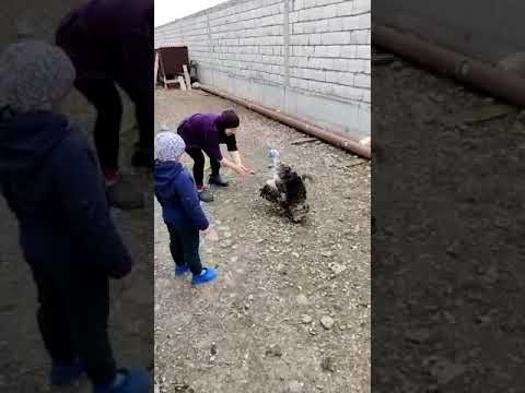 9 апреля 2020 г.