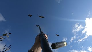 Fall Goose Hunt. In James Bay